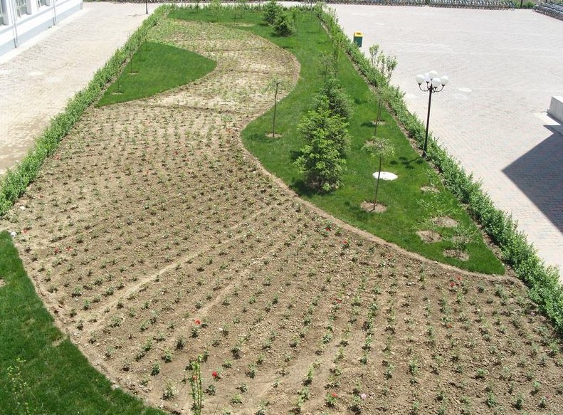 天津市宝坻区六中|第六中学图片