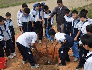 江门市外海麻园初级中学图片