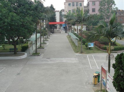 广州市番禺区东涌镇南涌小学图片