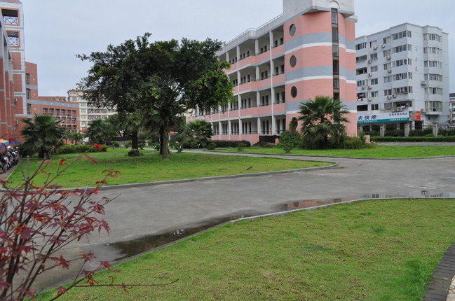 温州市苍南县少年艺术学校图片