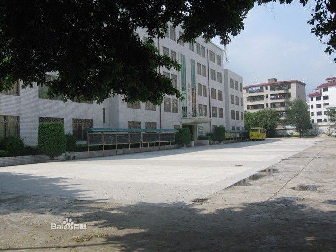 深圳市龙岗区龙岗中心小学图片