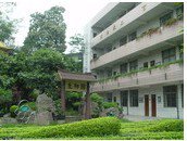 佛山市九江南方小学图片