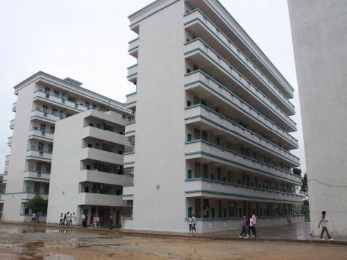 遂溪县三中|第三中学图片