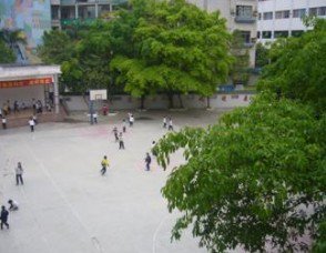 惠州市下埔小学图片
