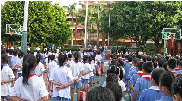 深圳市龙岗市新生小学图片