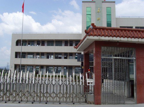 温州市瓯海区娄桥东耕小学图片