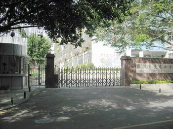 深圳福田景龙小学图片