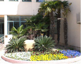 温州市苍南县龙港第二高级中学图片