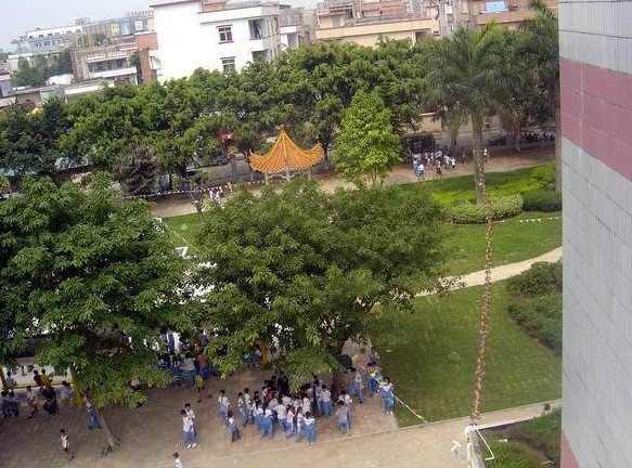 东莞市寮步红荔小学图片