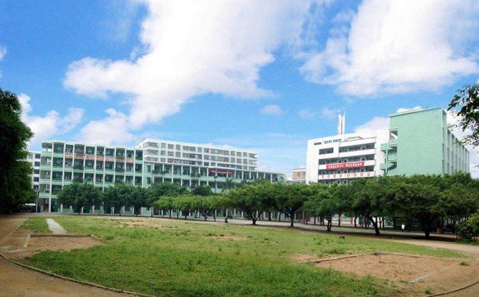 佛山市高明区荷城街道第三小学图片