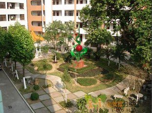 中山市开发区第一小学（开发区一小）图片