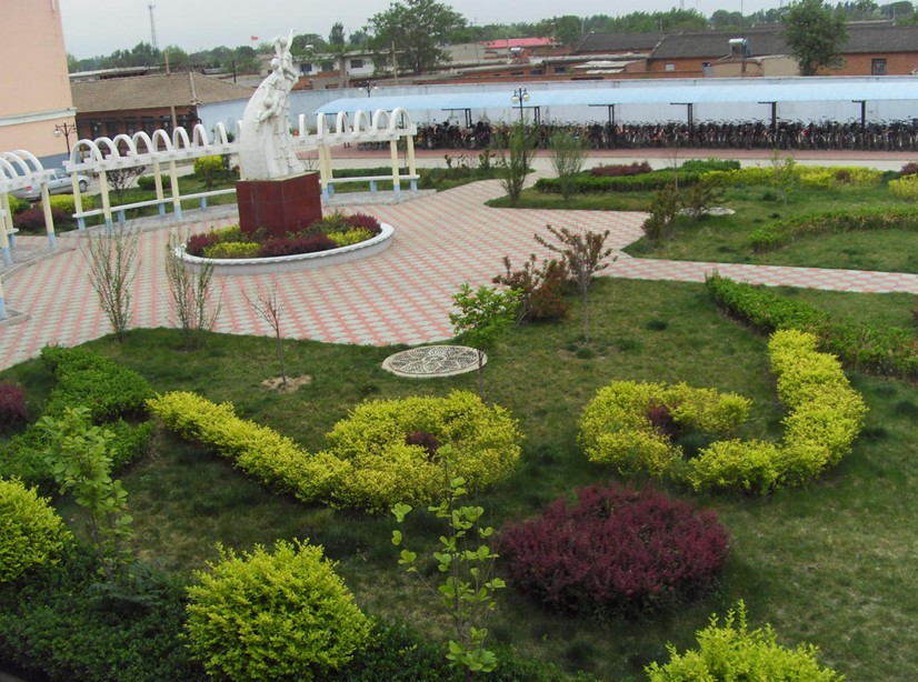 唐山市丰南区大新庄中学图片