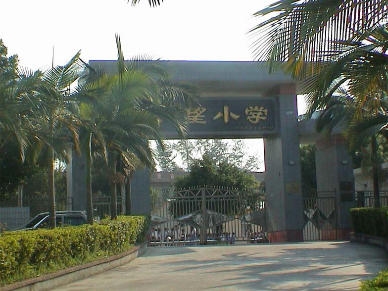 深圳市大望学校图片