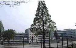 湖北省丹江口市一中|第一中学（丹江口一中）图片