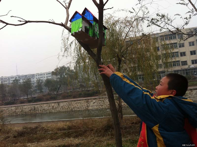 沈阳市法库县石桥小学图片