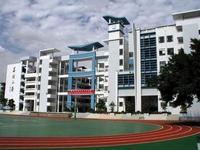 深圳荔园小学图片