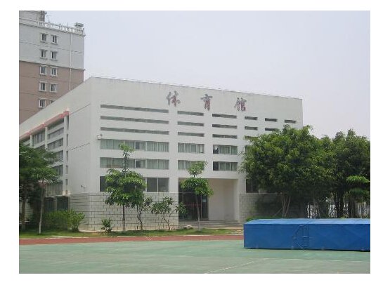 厦门市前埔北区小学图片