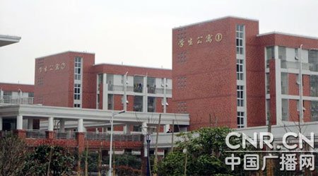 分宜县高岚乡中心小学图片