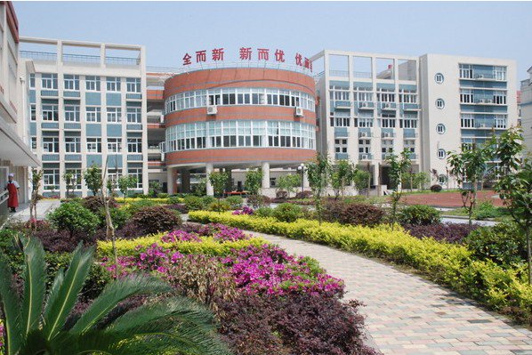 武汉市红领巾学校图片