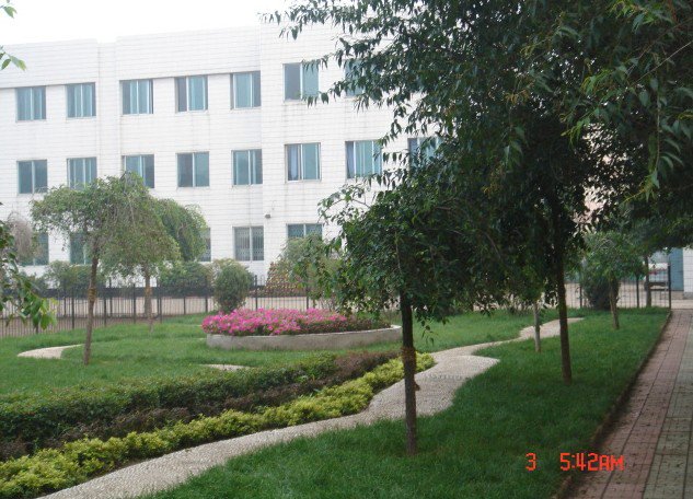 沈阳市于洪区包道小学图片