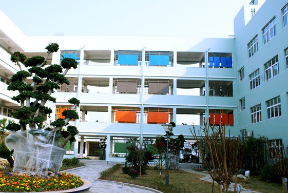 北白象镇第二小学图片