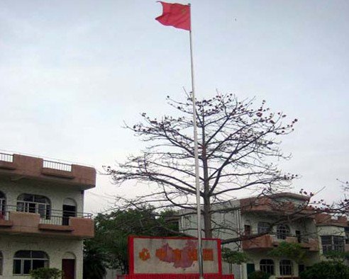 东莞市谢岗黎村小学图片