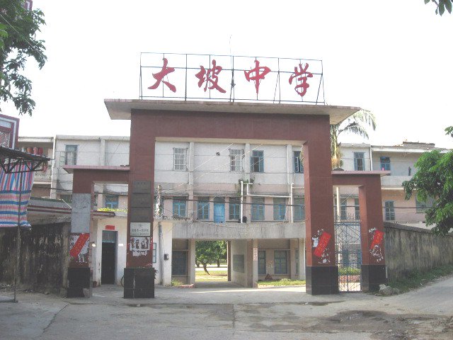 阳春市大坡中学图片