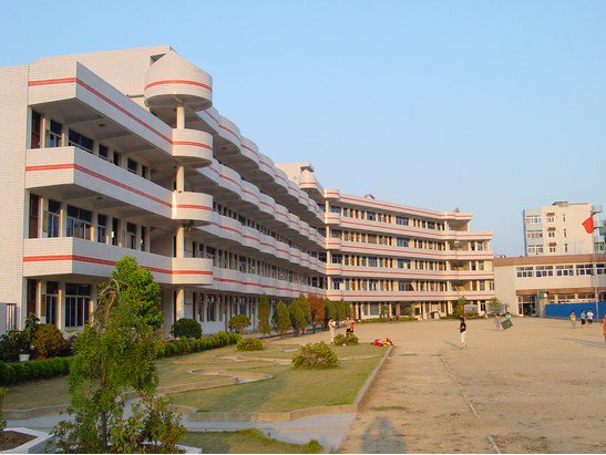 温州市洞头实验小学城中校区图片