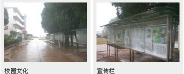 连平县雁桥中学图片