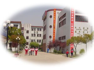 上海市嘉定区封浜中学图片