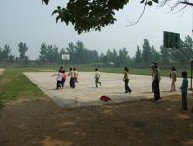 陵城镇辛庄小学图片