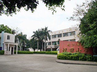 佛山市顺德区龙江坦田小学图片