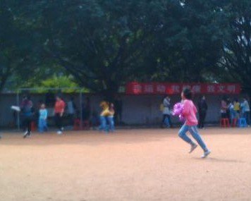 佛山市禅城区南庄镇罗南小学图片