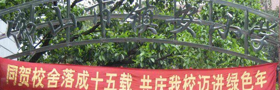 佛山禅城区镇安小学图片