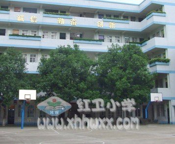 江门市会城红卫小学图片