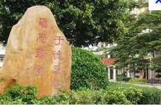 东莞市横沥汇星小学图片