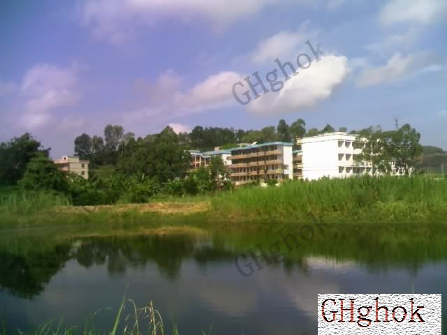 罗定市苹塘中学图片