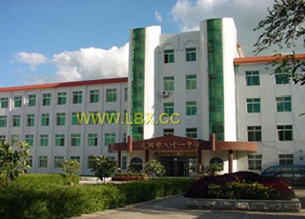 沈阳市第八十一中学图片