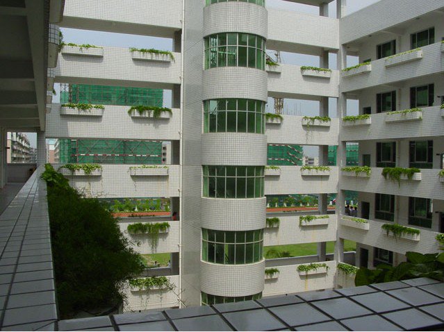 深圳市竹林中学图片