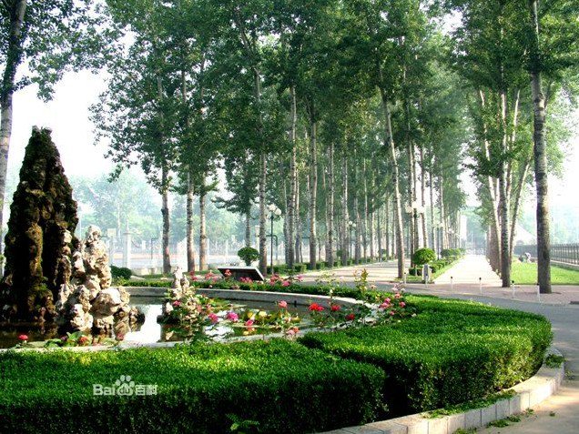 安阳市一中|第一中学（安阳一中）图片