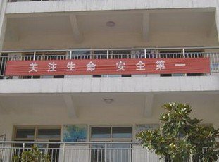 滕州市北辛街道北坛小学图片