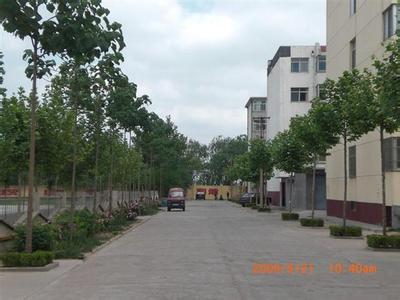 寒亭六中图片
