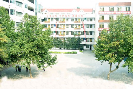 绵阳市实验小学图片