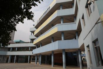 温州市少年游泳学校图片