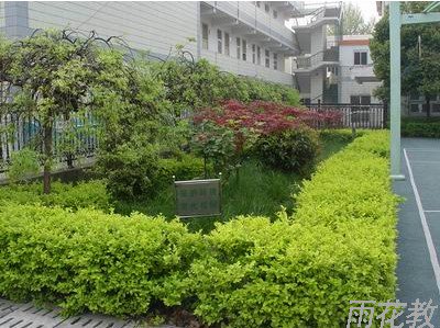 南京市共青团路小学图片